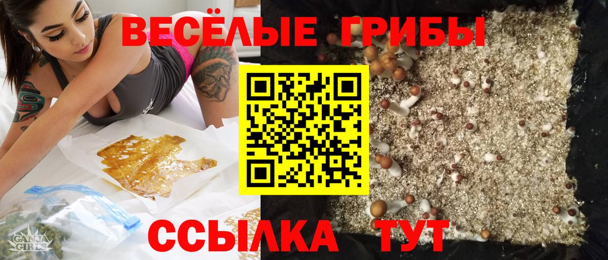 Псилоцибиновые грибы Psilocybine cubensis Аргун
