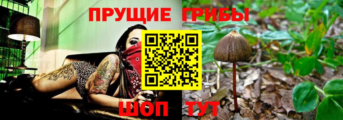 Аргун  Псилоцибиновые грибы Psilocybe  Галлюциногенные грибы Magic Shrooms  Вход с VPN 